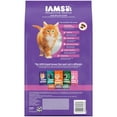 thumbnail image 3 of Iams Proactive Health Healthy Kitten Dry Cat Food With Chicken, 3.5 Lb Bag, 3 of 9