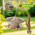 thumbnail image 4 of Samhe Bird Feeder for Outdoor, Metal Hanging Wild Bird Feeder with 9.8" Roof 3 lbs Seeds Capacity, 4 of 10