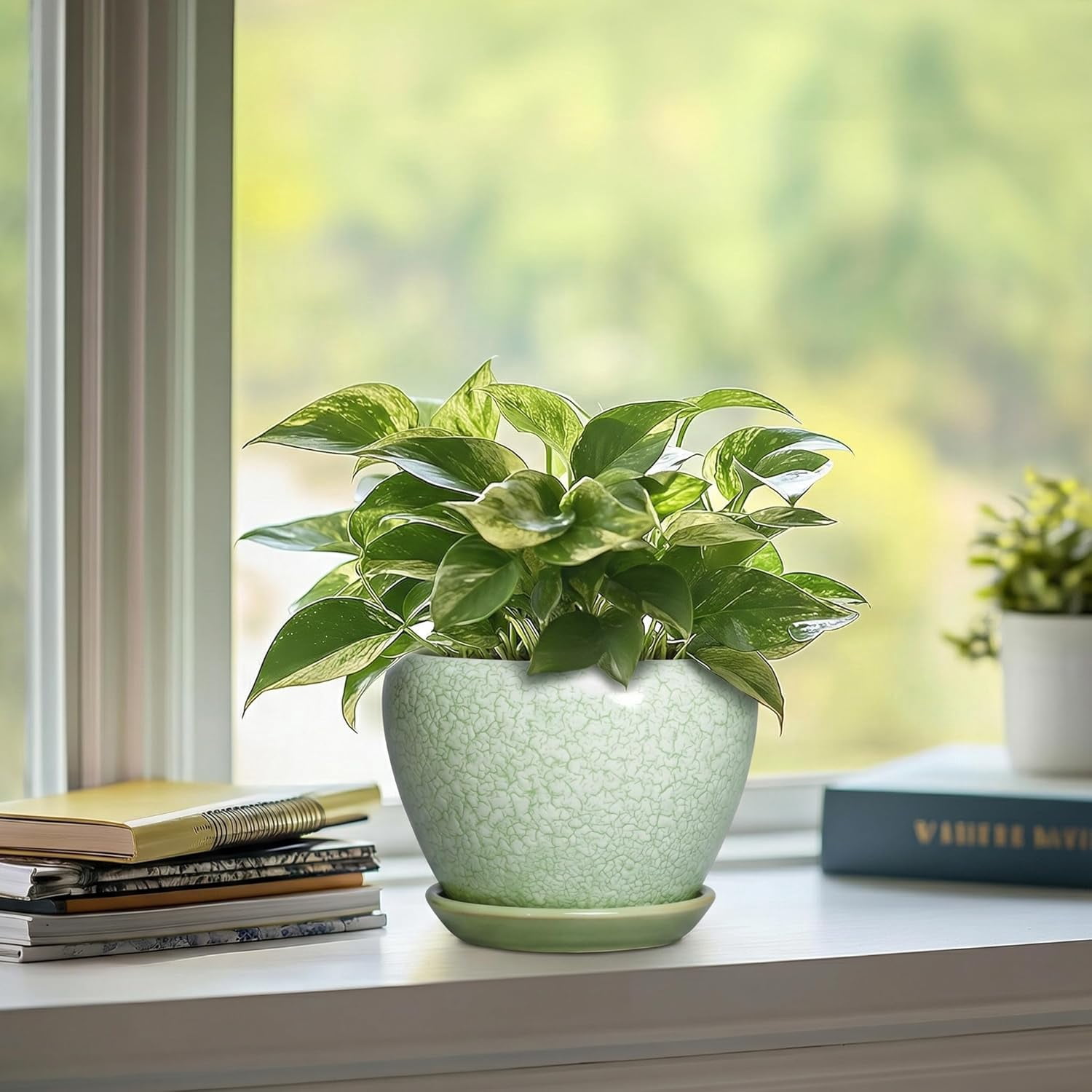 Ceramic Flower Pots - 6 Inch Plant Pot with Drainage Hole and Saucer, Modern Plant Pots for Indoor Succulent Plants, Round Indoor Planter, House Decor, Gardening Gifts, Crackle Light Green
