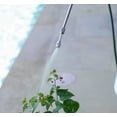 thumbnail image 6 of BirdRock Home 2-Gallon Garden Sprayer with Battery Powered Pump, 6 of 8