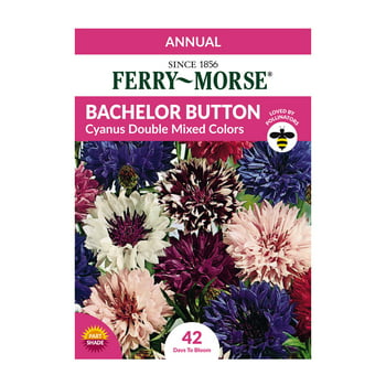 Ferry-Morse 60MG Bachelor Button Cyanus Double Mixed Colors Flower  Packet