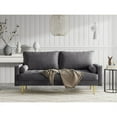 thumbnail image 5 of Enor Furniture Newport Upholstered Modern Metal & Velvet Sofa in Gray, 5 of 11