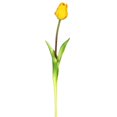 thumbnail image 1 of Tige Florale de Tulipe Simple&44; Jaune - Pack de 3, 1 of 1