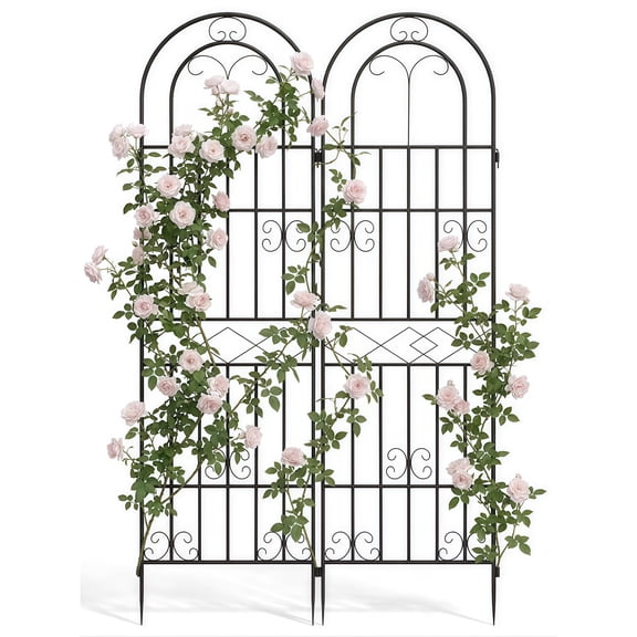 DKMOCO 2 Pack Garden Trellis for Climbing Plants Outdoor, 71" H x 20" W Metal Flower Trellis with Plant Ties and Clips, Rust-Resistant Arched Plant Support for Patio Lawn Yard, Black