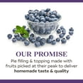 thumbnail image 6 of (3 pack) Duncan Hines Comstock More Fruit Blueberry Pie Filling and Topping, 21 oz, 6 of 8