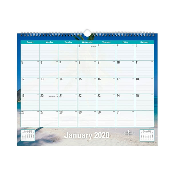 2020 Blue Sky 15 x 12 Wall Calendar, Endless 117900