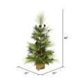 thumbnail image 3 of Vickerman D180440 4 Pi x 25 Po Pin à Alouette Verte avec Base en Toile de Jute &amp; 113 Tip Count, 3 of 3
