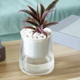 thumbnail image 1 of Fiudx Liquidación de ofertas flash Macetas pequeñas para flores, de plástico, para interior, sala de estar, escritorio, almacenamiento de agua, desorden, cultivo, autoabsorbentes, transparentes, para, 1 of 7