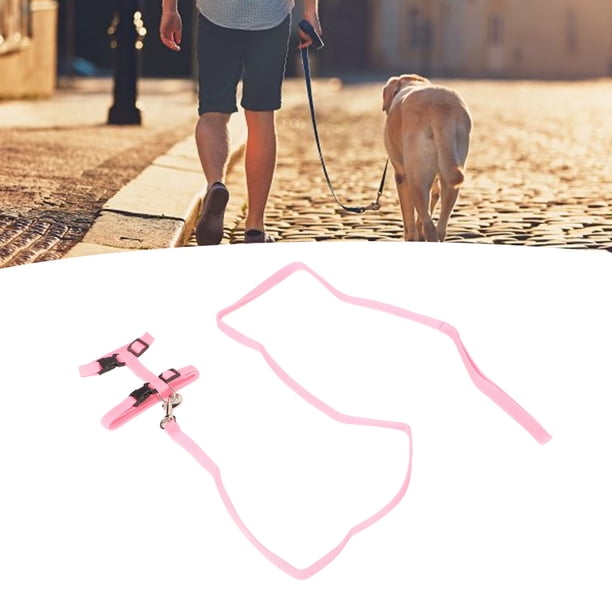 Arnés para Gatos y Gatitos ANGGREK Juego de arnés Ajustable para Perros Pequeños con Correa