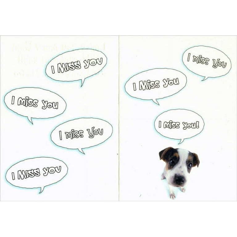 Brown Dog Face Meme