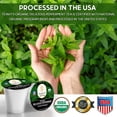 thumbnail image 4 of Organic Delicious Peppermint Tea Pods for Keurig Brewers by Teavity - Naturally Decaffeinated Peppermint Tea, 24 Tea Pods, 4 of 9