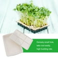 thumbnail image 3 of COOPHYA 1Pcs -resistant Plastic Balcony Nursery Pots for Bean Sprout and Seedling Starter 30x20x4.7cm, 3 of 8