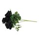 thumbnail image 3 of BESTYASH Decora Tu Hogar Con Negras Falsas Livianas Y Resistentes Para Ambientes Interior, 3 of 6