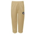 thumbnail image 4 of Toddler Garnet Florida State Seminoles Two-Piece Red Zone Jersey & Pants Set, 4 of 5