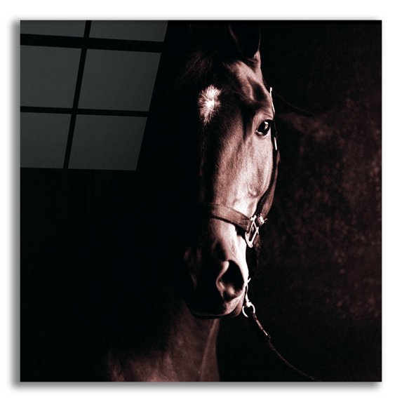 Epic Art 'Tevy' by Susan Friedman, Acrylic Glass Wall Art, 12"x12"