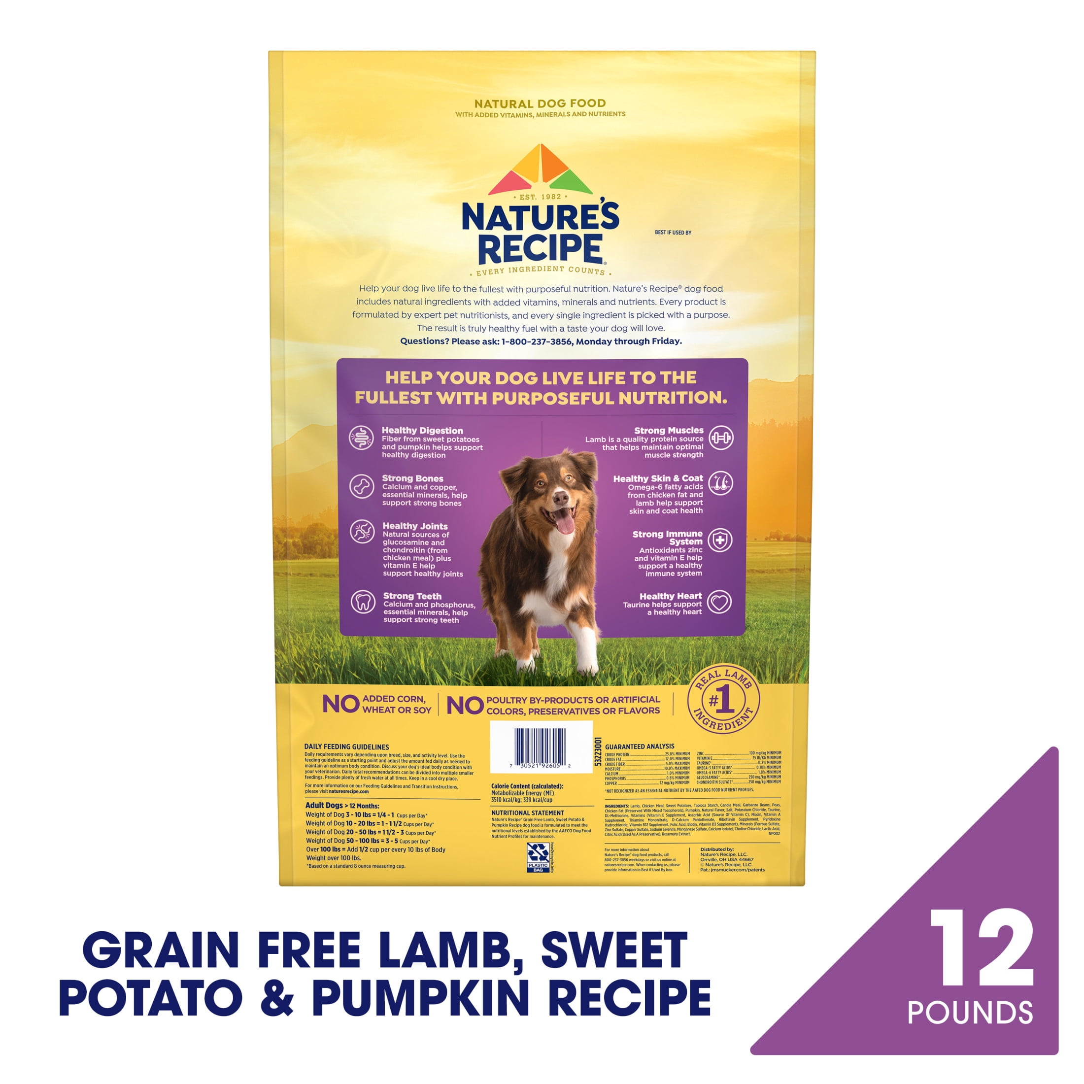Nature's Recipe Grain Free Lamb, Sweet Potato & Pumpkin Dry Dog Food, 12 lb. Bag