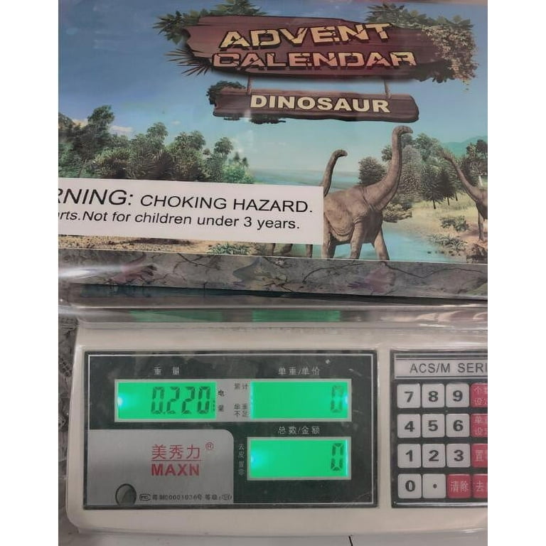 ANOTION Dinosaur Advent Calendar For Kids, New Year Gifts, New