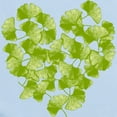 thumbnail image 2 of CafePress - Ginkgo Leaf Heart Long Sleeve Infant Bodysuit - Long Sleeve Cotton Baby Bodysuit, 2 of 4
