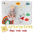 thumbnail image 2 of Manta para bebé Babyly Winny The Pooh Hitos del Bebé 100x152 cm, 2 of 6