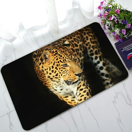 PHFZK Wildlife Doormat, Nature Series of Animal Leopard Doormat Outdoors/Indoor Doormat Home Floor Mats Rugs Size 30x18
