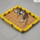 thumbnail image 1 of Cama de verano para mascotas, tapete de mimbre tejido, nido de verano, resistente a las mordeduras, para perros y gatos, almohadilla de hielo, antideslizante y a prueba de humedad., 1 of 5