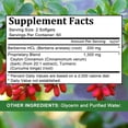 thumbnail image 5 of Balincer Berberine Supplement with Ceylon Cinnamon & Turmeric, 1500mg Per Serving, 120 Softgels, Supports Daily Nutritional Balance, 5 of 5
