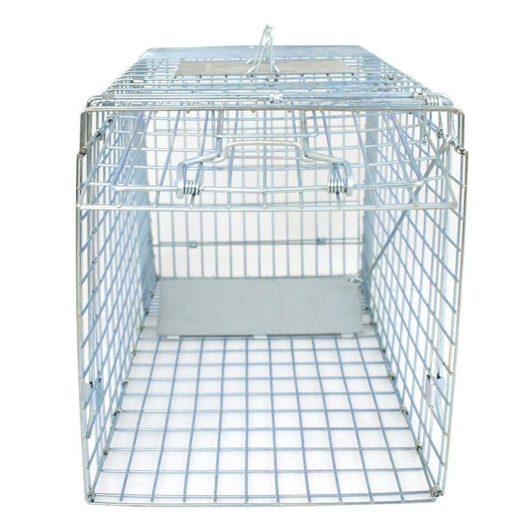 Spencer Rat Trap Cage Small Live Animal Humane Cage Pest Rodent Mouse Control Bait Catch Pest Mouse Trap Cage 11 x 5.5 x 4.3 Inches, Size: 11.02 x