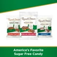 thumbnail image 4 of RUSSELL STOVER Sugar Free Pecan Delight Chocolate Candy, 2.4 oz. bag, 4 of 9