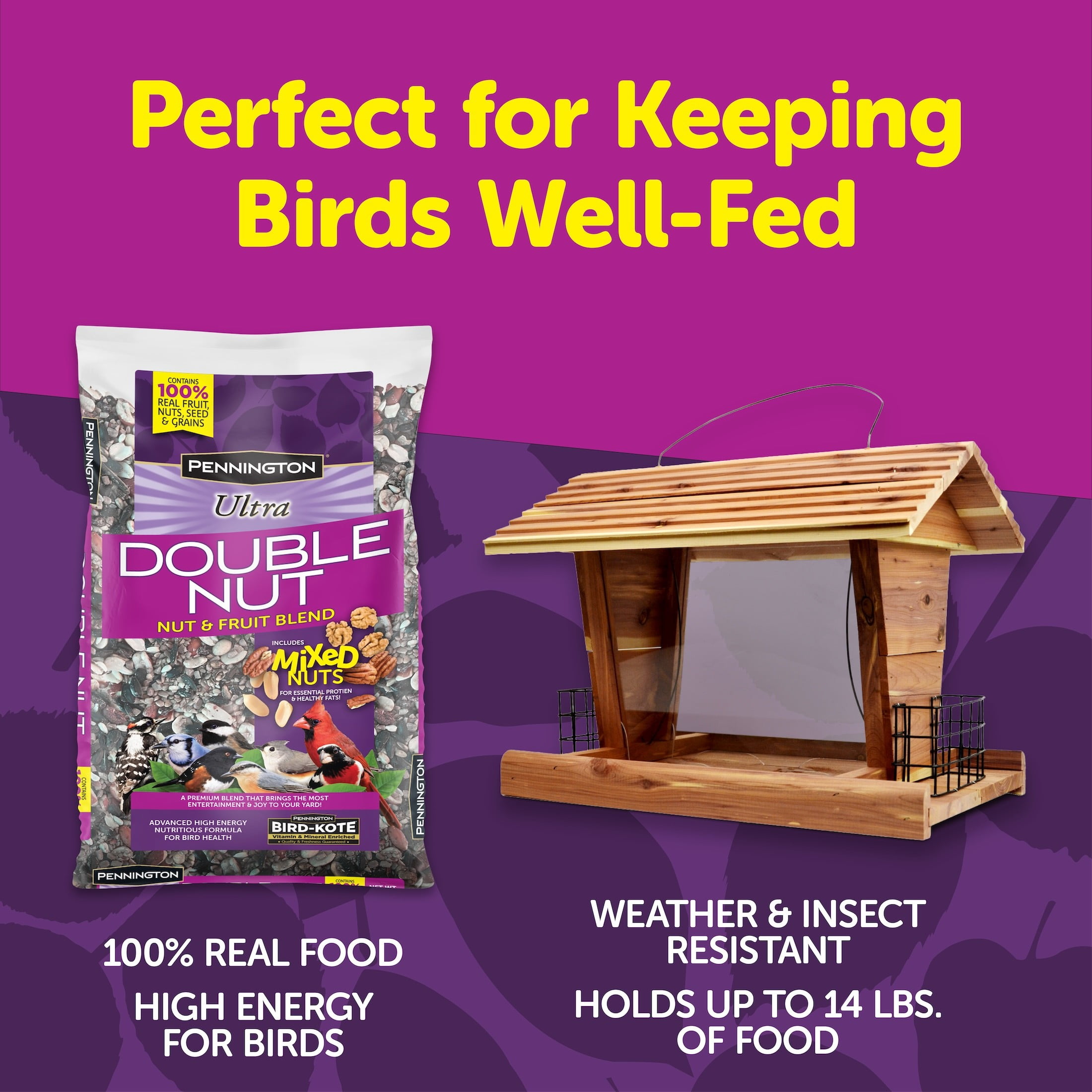 Pennington Cedar Grand Chalet 14 lb Capacity Bird Feeder / 2.5lb Bird Seed All In One Kit 1 Each