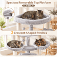 Corner Cat Tree, Light Gray, 63.8 Inch Tall, Multi-Cat Sisal Tower ...