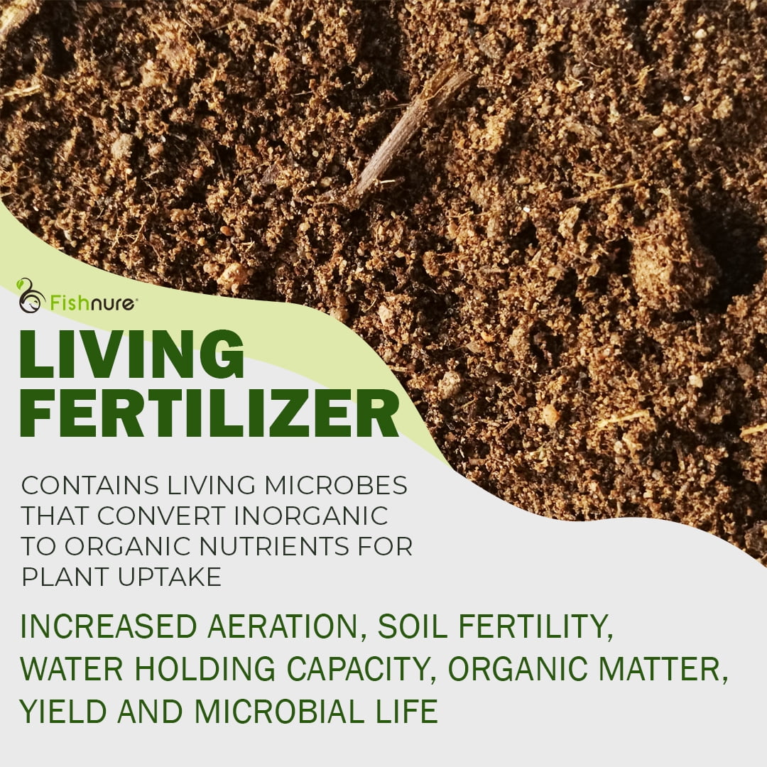 Fishnure 1 lb Odorless Organic Compost Fertilizer made from Fish Manure - Omri Listed plant fertilizer for indoor and outdoor use