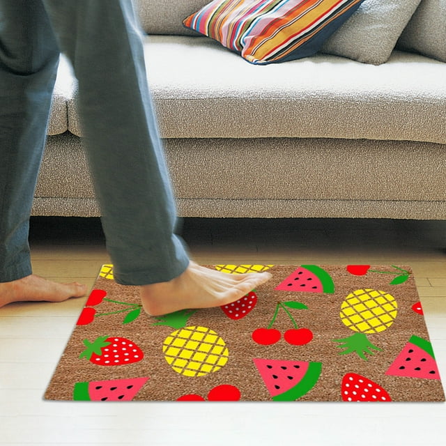EARKITY Summer Door Mats, Welcome Front Door Mat, Summer Door Mat Outdoor, Entrance Front Door Rug, Indoor Outdoor Front Doormats Rug - Non-Slip