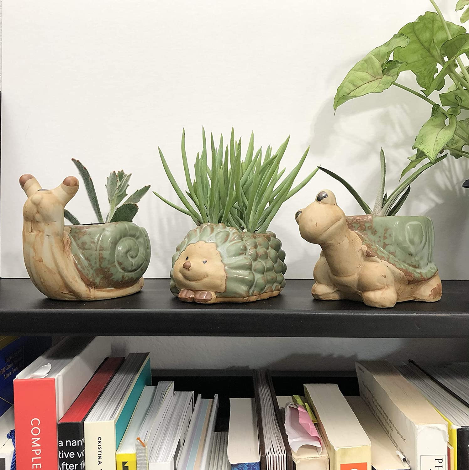 Cute Animal Succulent Planter Pots 3 Pack Turtle Planter Snail Pot Porcupine Planter with Drainage Hole for 2" Small Plants