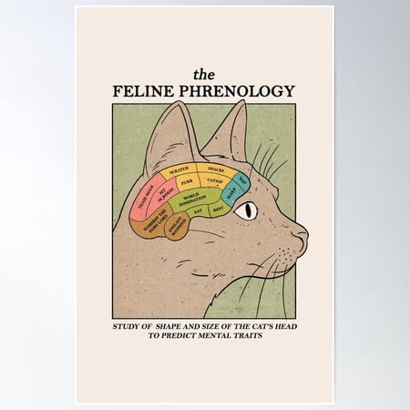 The Feline Phrenology Poster Wall Art, Modern Wall Decor For Living Room Bedroom, 8x12 UNFRAMED