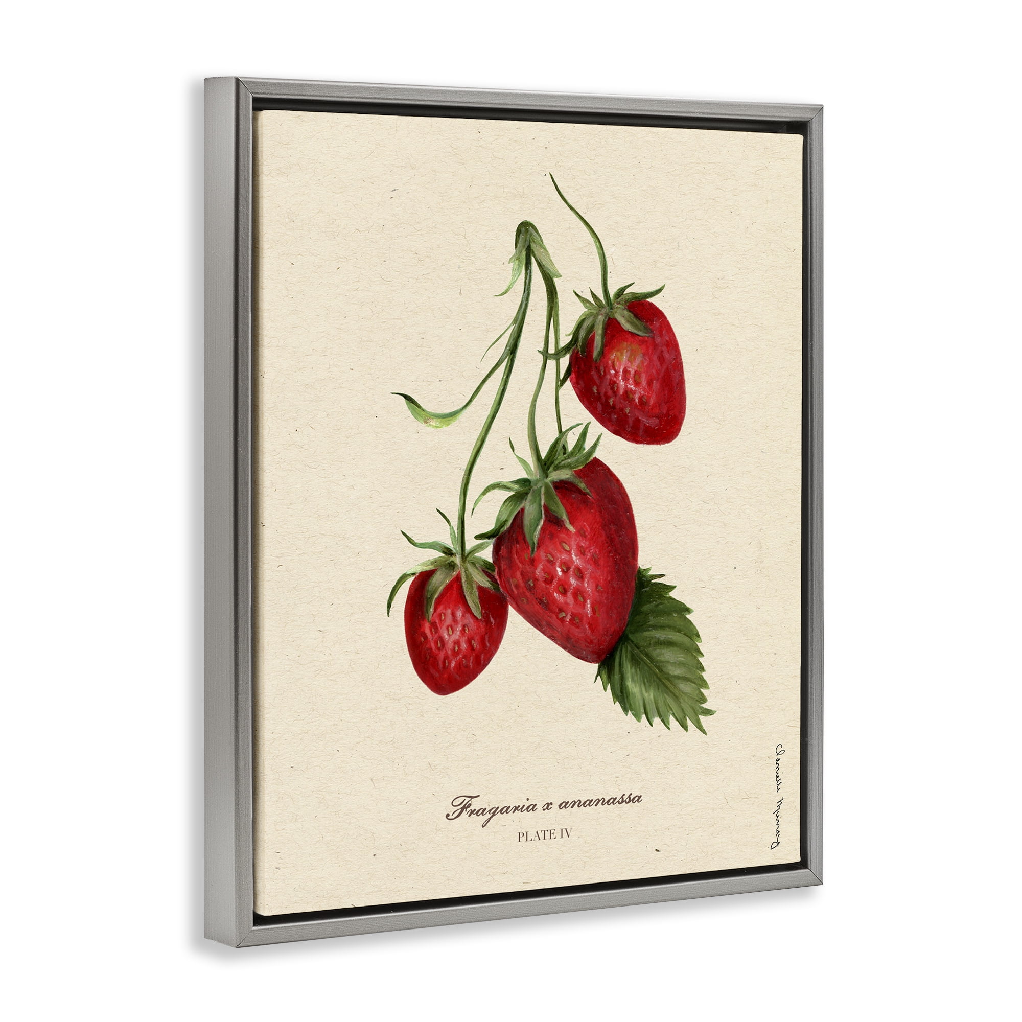 Stupell Industries Strawberry Fruit Portrait Gray Framed Floater Canvas Wall Art, design by Danielle Murray