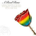 thumbnail image 2 of Forever Rose, a Genuine, One of a Kind, Real Rainbow Rose, Hand Dipped in Lacquer and Trimmed in 24K Gold, 2 of 6