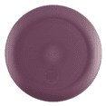 thumbnail image 6 of Mainstays 10.5 inch Round Plastic Etched Halloween Skeleton Plate, Purple, 6 of 7