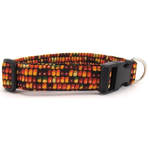 Indian Corn Dog Collar - Size - Small