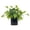 H, variant on Artificial Pothos Plants with Pots Realistic Hanging Plants in Plastic Pots Indoor Outdoor Decor for Home Shelf Bathroom Kitchen Office, 1 Potted Plant