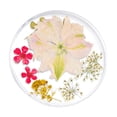 thumbnail image 1 of Flor seca natural real de la decoración 3D para del clavo de acrílico del gel 12 Salvador Flores secas de uñas 3D, 1 of 9