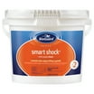 BioGuard Smart Shock, 1 lb Bags, 12 Pack, Pool Shock Treatment ...