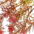 thumbnail image 4 of unbranded 5Ud Rama Artificial Roja Para De Interiores Y Eventos Con Material, 4 of 5