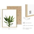 thumbnail image 3 of Haus and Hues Plant Wall Art - Set of 4 Plant Pictures Wall Art and Green Wall Art Collection, Botanical Prints, Sage Green Leaves Paintings For Wall, Minimalist Wall Art (11x14, Framed Beige), 3 of 6