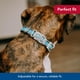 thumbnail image 4 of Collar para perro Coastal Pet Pro, ajustable y reflectante, azul brillante con gris, 1 x 14 a 20 pulgadas, 4 of 7