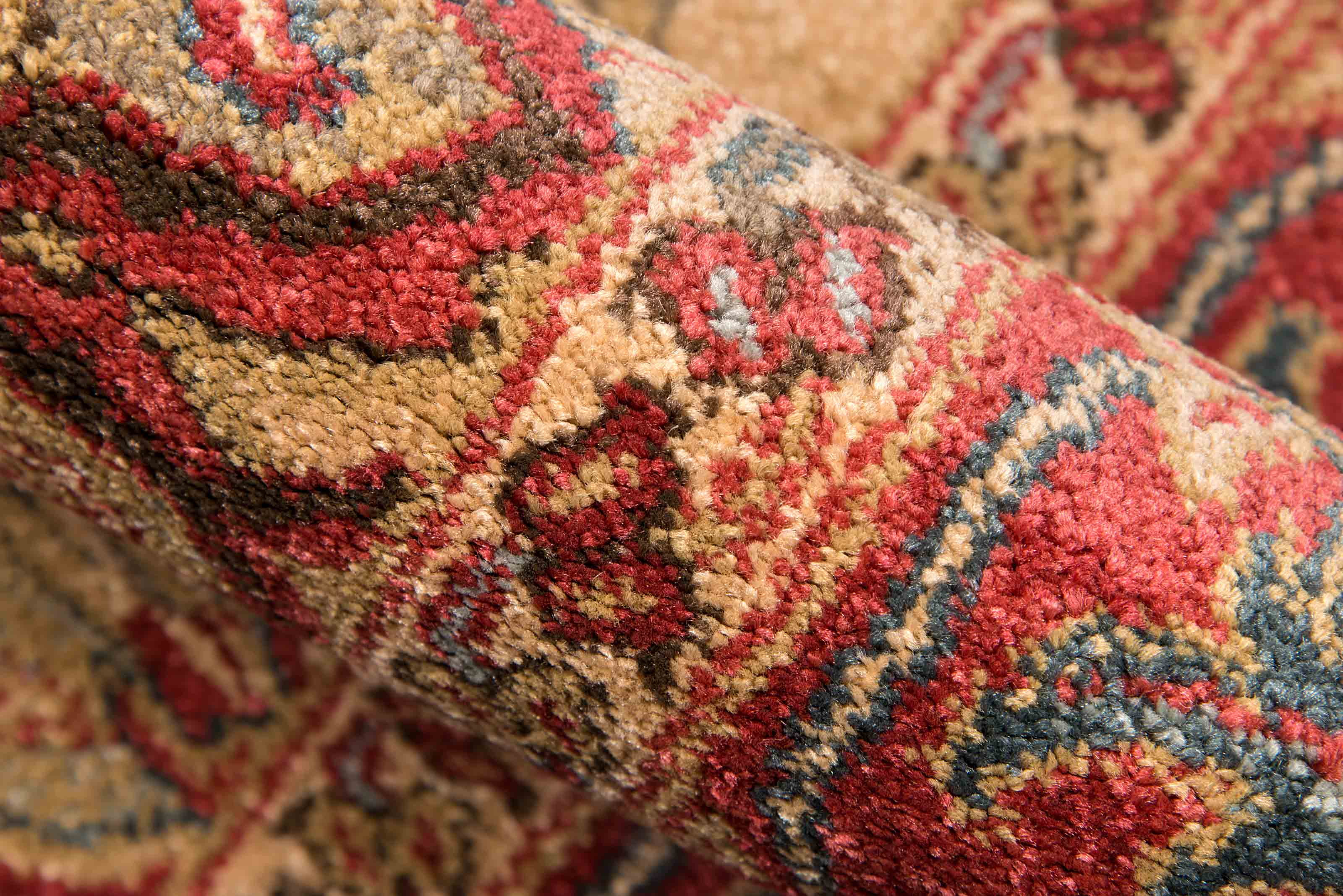 ECARPET Lux Traditional Area Rug for Living Room, Bedroom, Dining Entrance, Hallway and More.