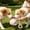 Pink, variant on 2 in 1 Portable Dog Water Bottle, Plastic Dog Water Bottle with Silicone Foldable Bowl, Leak-Proof 2 in 1 Portable Small Dog Water Bottle, Outdoor Travel Water Bottle