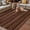 Brown, variant on Dark Brown Wooden Outdoor Rug for Patio/Deck/Porch, Non-Slip Large Area Rug 3 x 5 Ft, Vintage Western Country Wooden Board Indoor Outdoor Rugs Washable Area Rugs, Reversible Camping Rug Carpet Runner