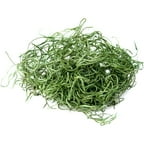 Super Moss 26922 32 Oz Spanish Moss Preserved