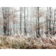 thumbnail image 3 of Weisz, Irene 14x12 Black Modern Framed Museum Art Print Titled - Always Magic in the Woods, 3 of 5