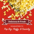 thumbnail image 4 of Franklin’s Gourmet Popcorn All-In-One Pre-Measured Packs - 4oz. Pack of 5 - Butter Flavored Coconut Oil, Premium Butter Salt, Classic Corn - Movie Theater Taste - Made in USA, 4 of 6
